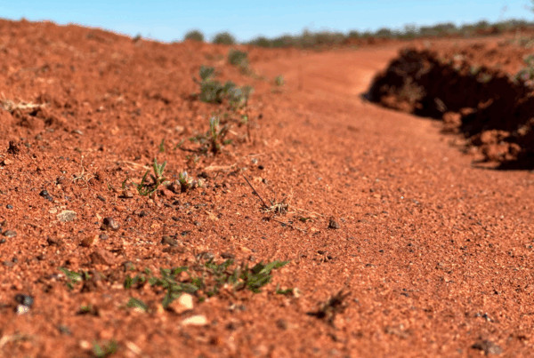 Choosing the Right Tent Peg for Australian Ground Conditions